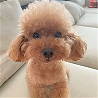 姚岚Fiona