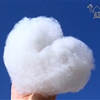 永远的幸福下去