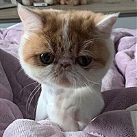 是小隽峰呀