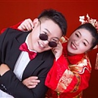 迷路的鸽子