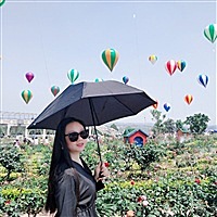 杨洋小迷妹