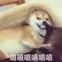 👉喵酱👈