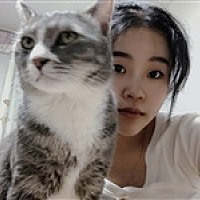 王