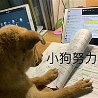 西瓜