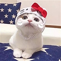 梁佳彧
