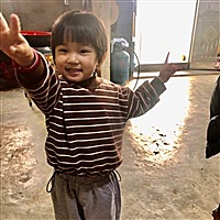 林木琴