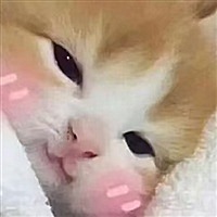 双胎妈妈