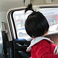 小菜头