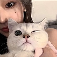 ㅤ