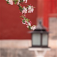 然