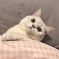一锅周