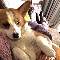 Zzzz