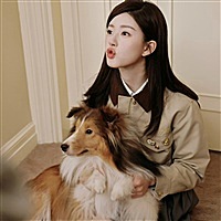 桑稚