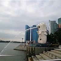 亲爱的朋友