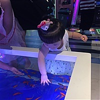 兮兮很萌