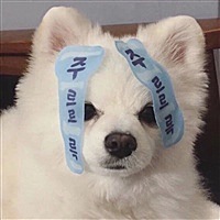 逆