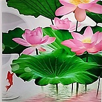 韩立燕