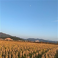 顺利