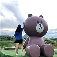 露圆圆