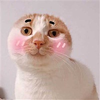 叽