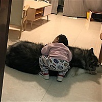 黄妈妈