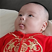 俪