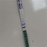 小鹏