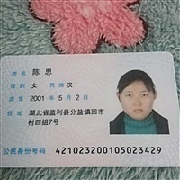 一花独放