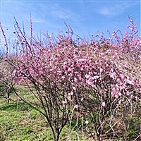 雯雯宝贝啊
