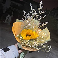 pikaqiuu