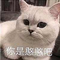 起风了