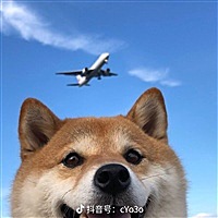 开心happy