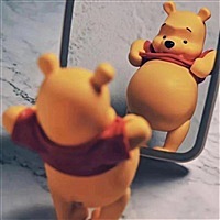 南南瓜