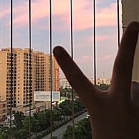 皂皂