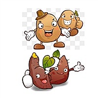 小土豆炫