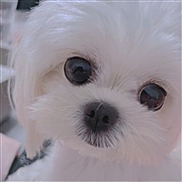 柚柚莹