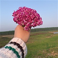迎接我的小兔崽