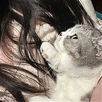 臭蛋