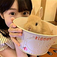 百分百好运