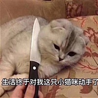 我也不想想啊
