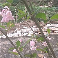 加油
