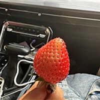 你