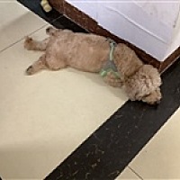 福荣