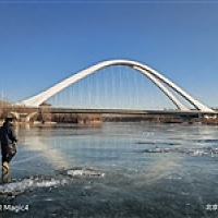 扇你熊头