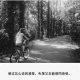 福云