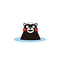 赵倩楠