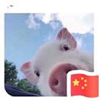南颖