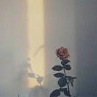 L️️