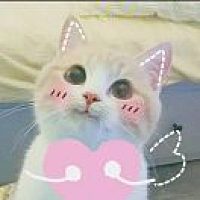 鱼鱼鱼