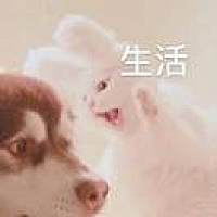 柠檬小贝